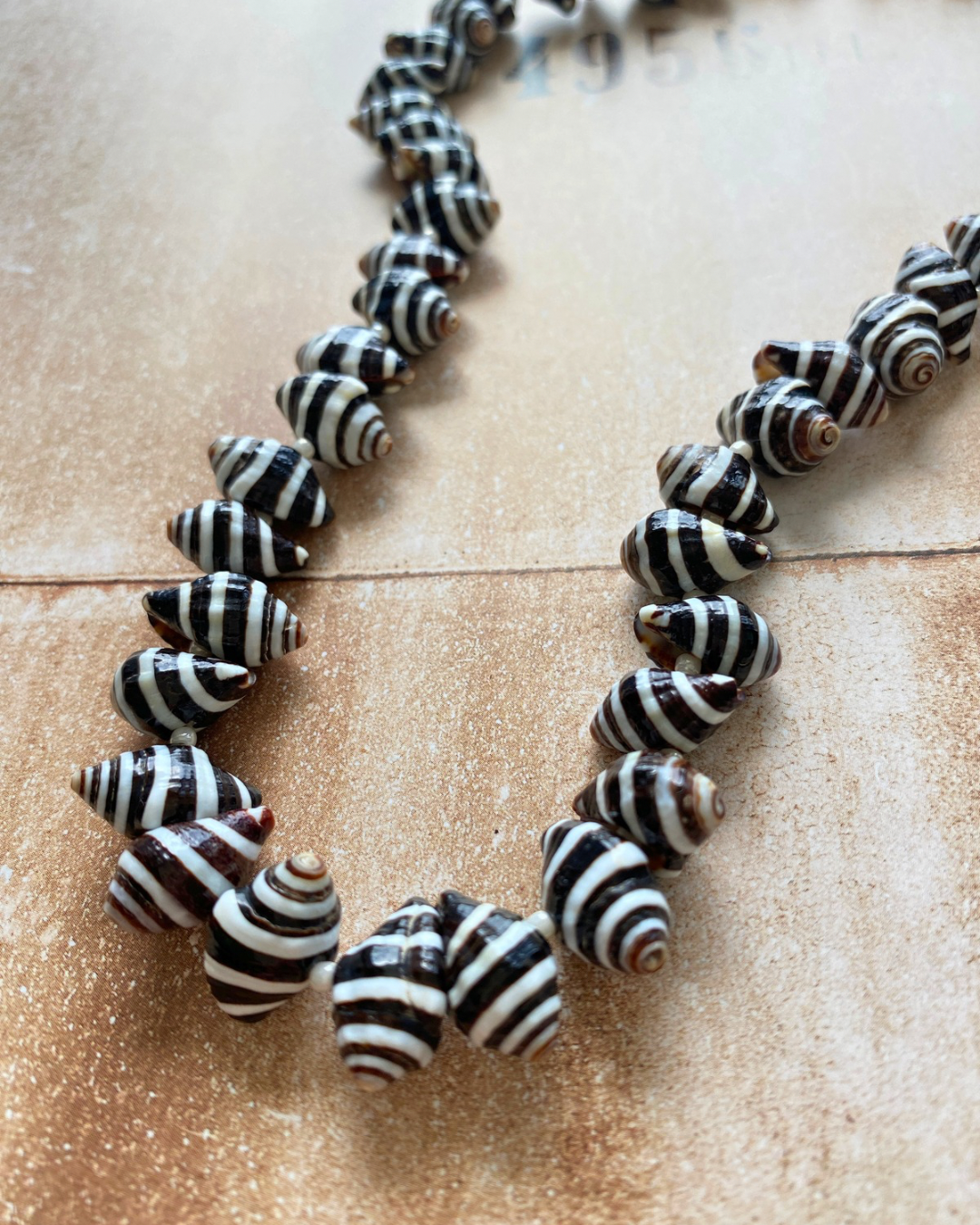 NATURAL ZEBRA SHELL Necklace