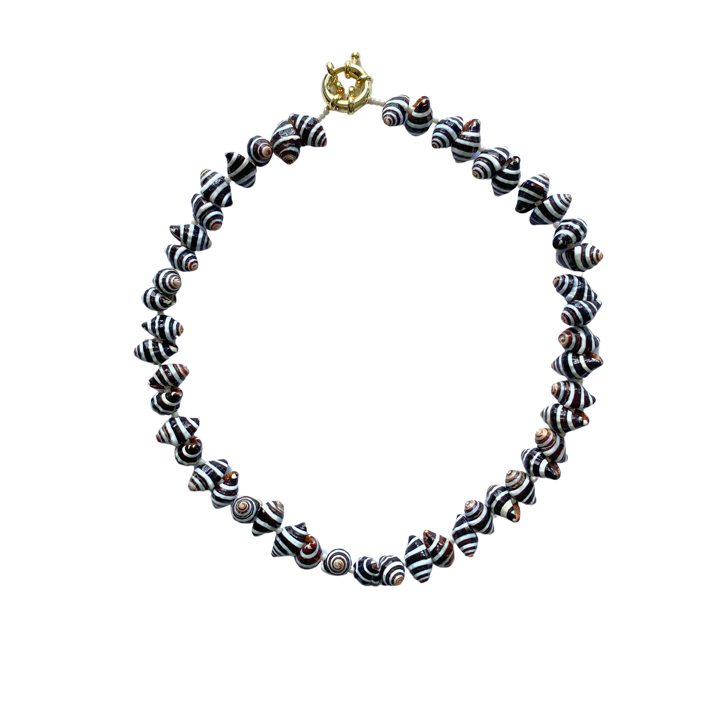 NATURAL ZEBRA SHELL Necklace